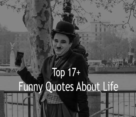 Funny Quotes About Life